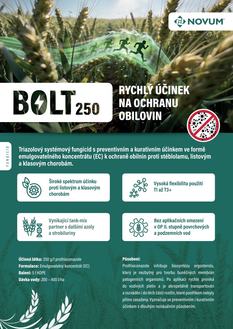 Bolt 250
